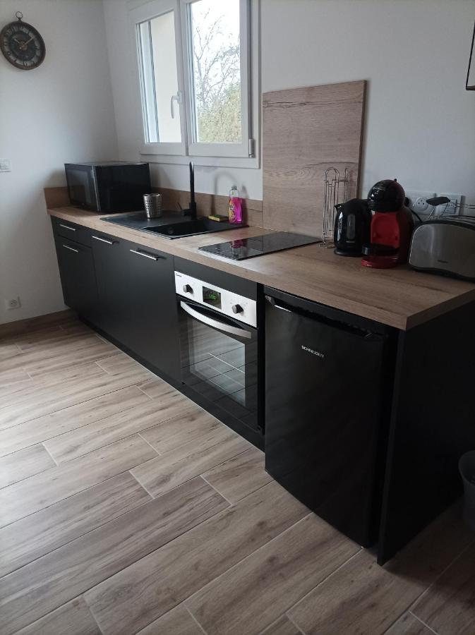 Loft Sauna Jacuzzi Ospariegeois Appartement Lavelanet