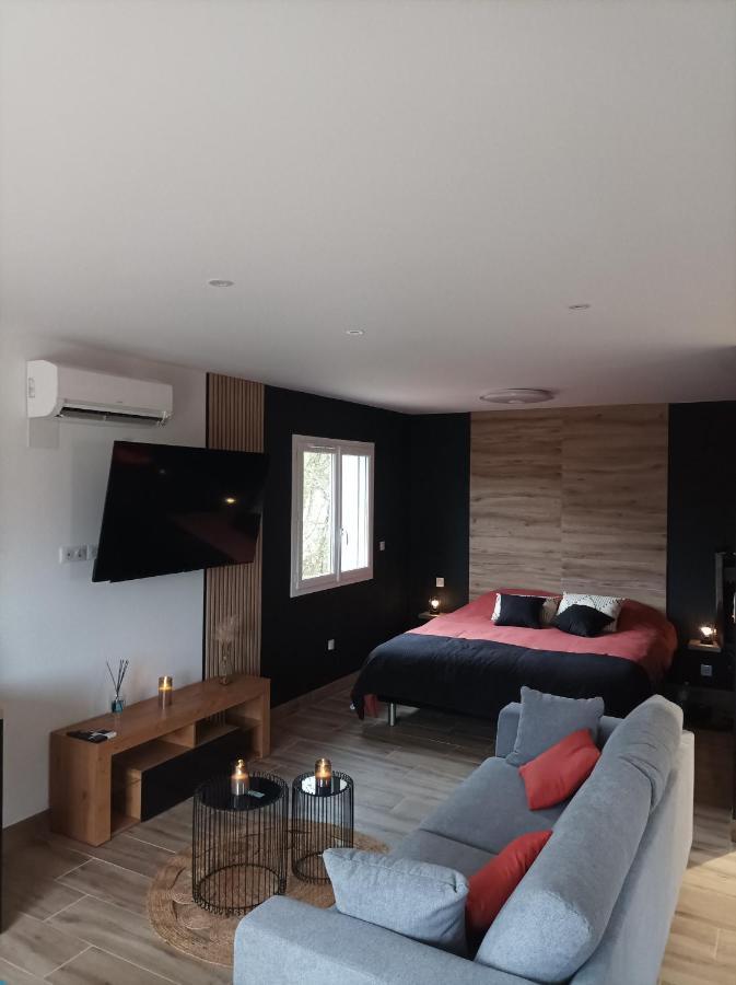 Appartement Loft Sauna Jacuzzi Ospariegeois